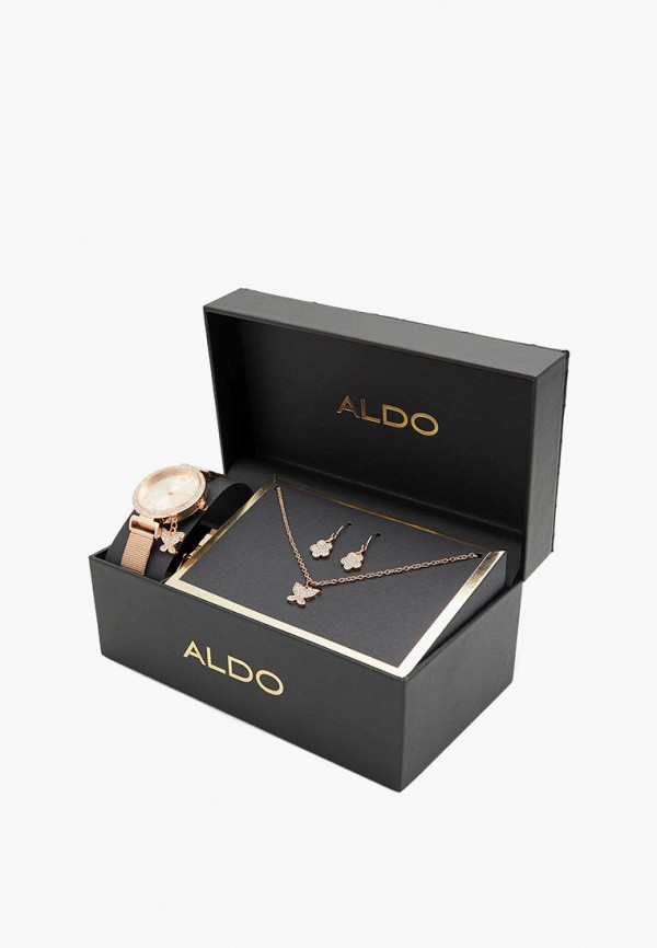 Часы колье и серьги Aldo 4990₽