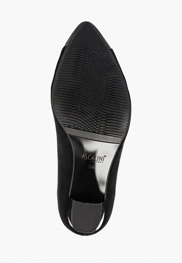 фото Туфли ascalini