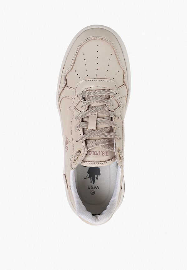 фото Кеды u.s. polo assn.