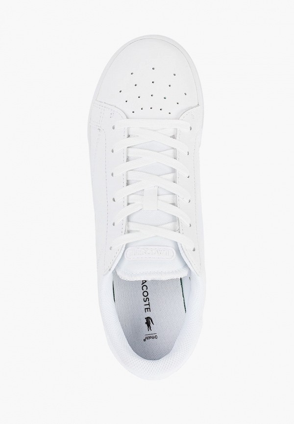 фото Кеды lacoste