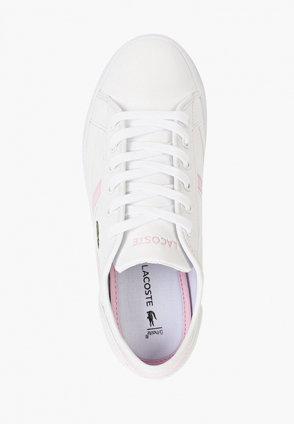 фото Кеды lacoste