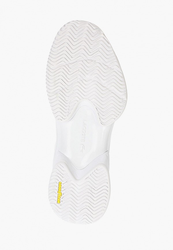 фото Кроссовки lacoste