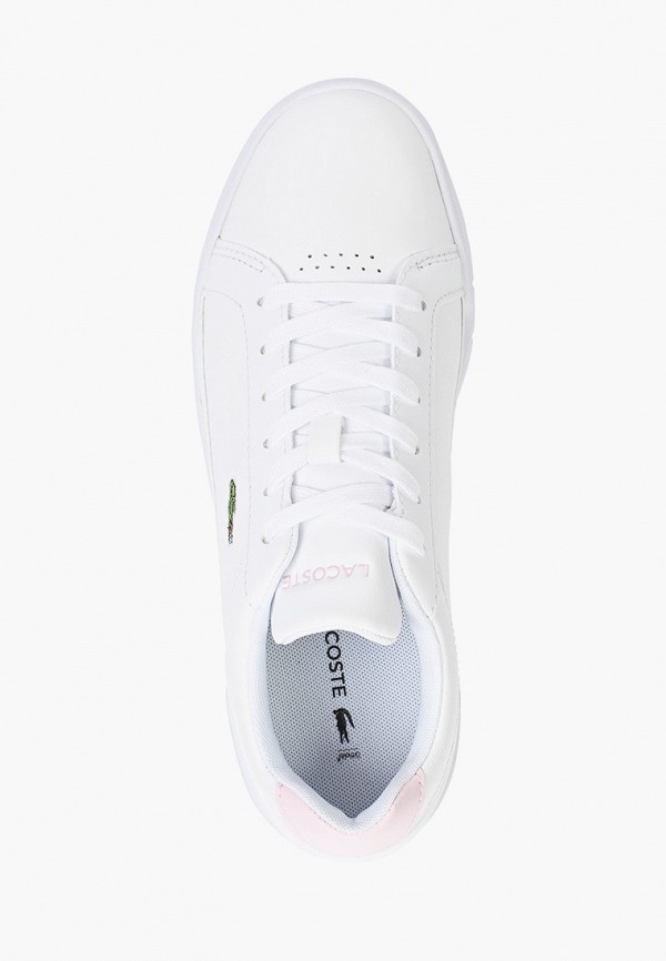 фото Кеды lacoste