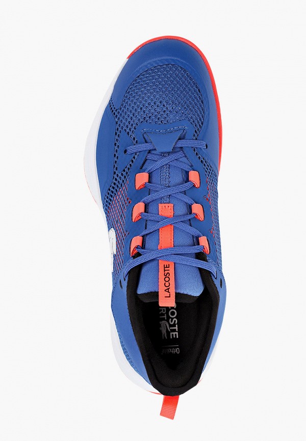 фото Кроссовки lacoste