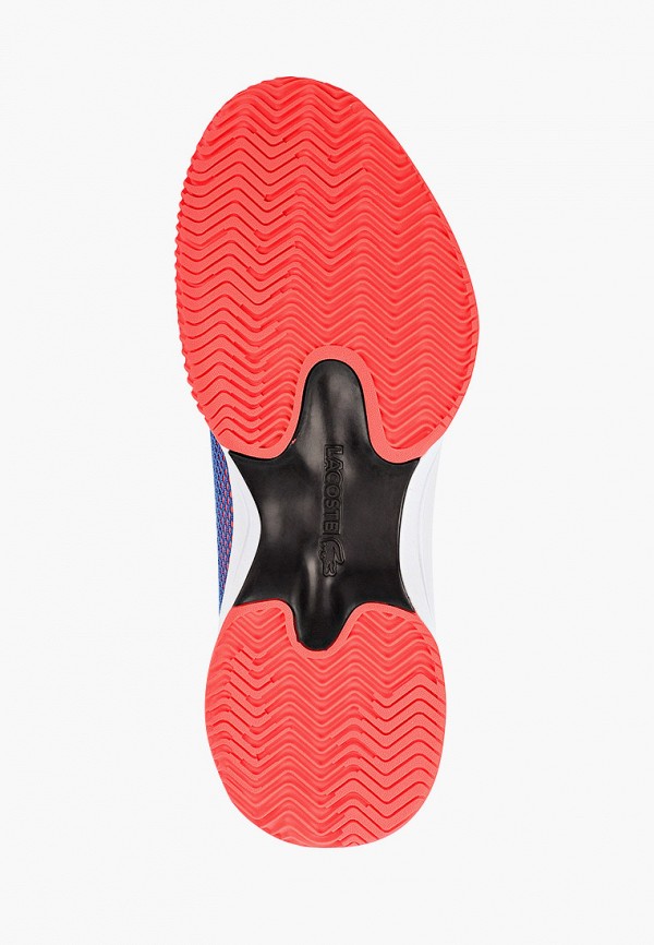 фото Кроссовки lacoste