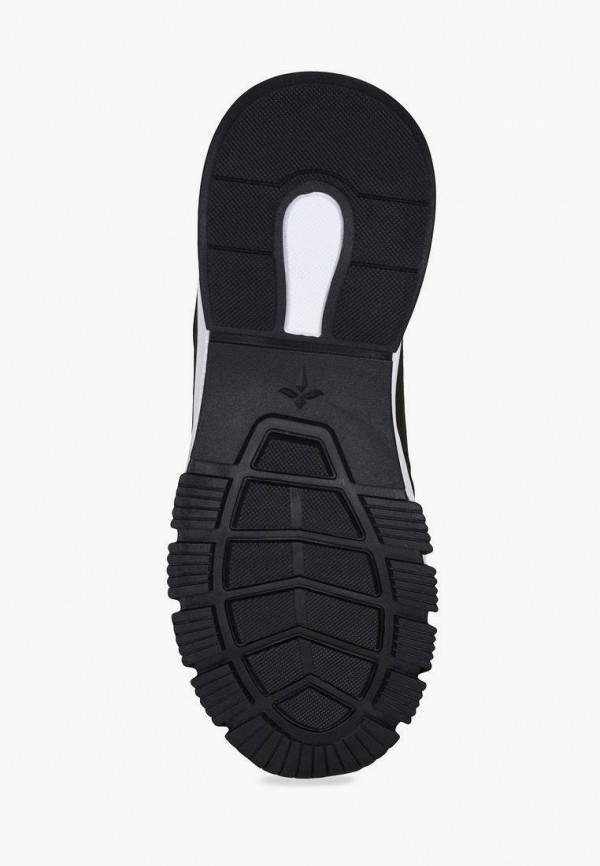 фото Кроссовки t.taccardi