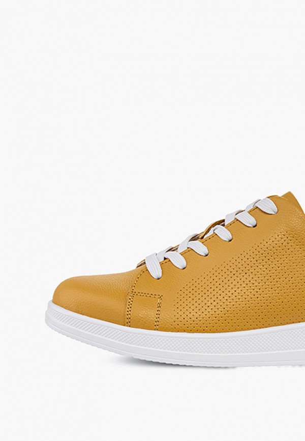 фото Кеды zenden