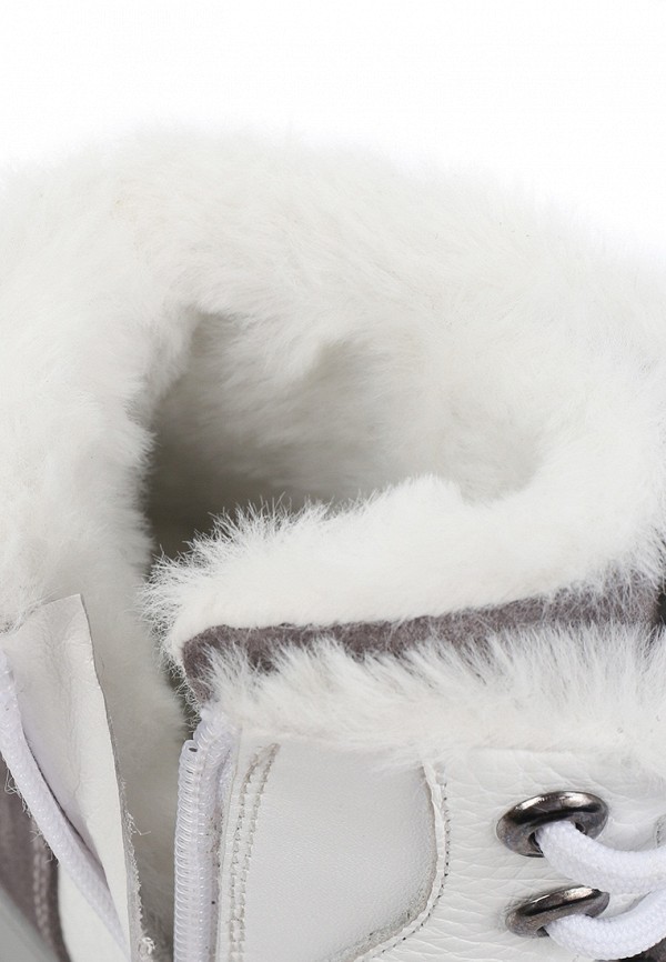 фото Кроссовки basconi