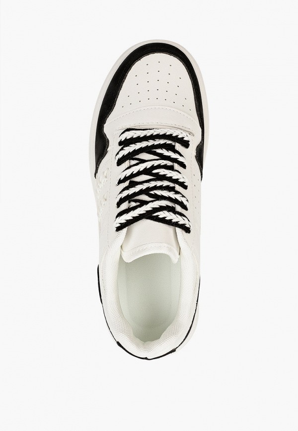 фото Кеды dino albat