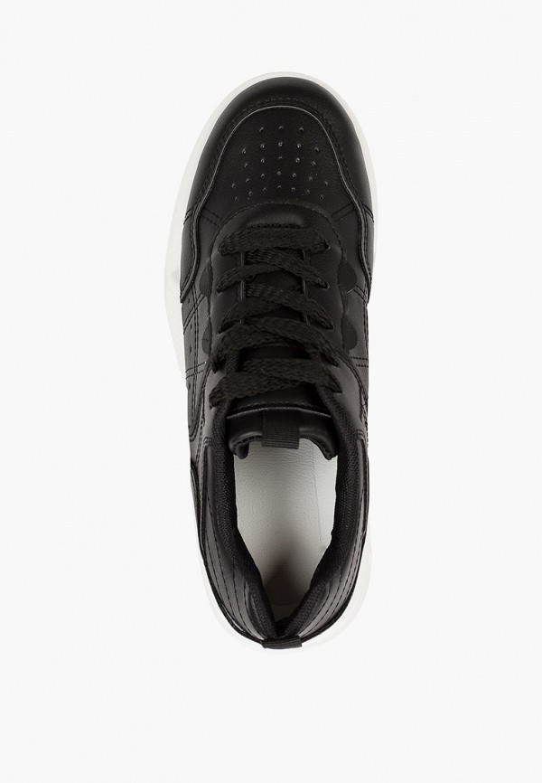 фото Кеды dino albat