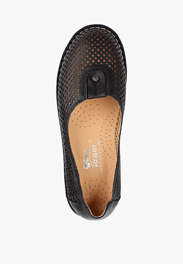 фото Туфли ascalini