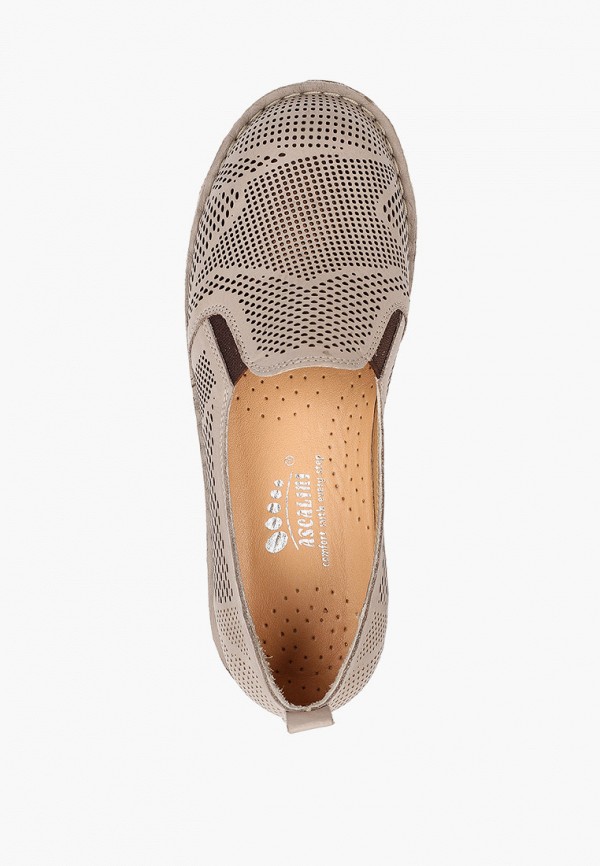 фото Туфли ascalini