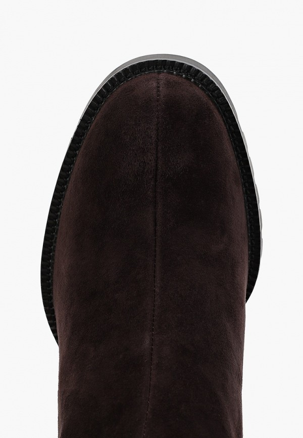 фото Ботфорты vasconte