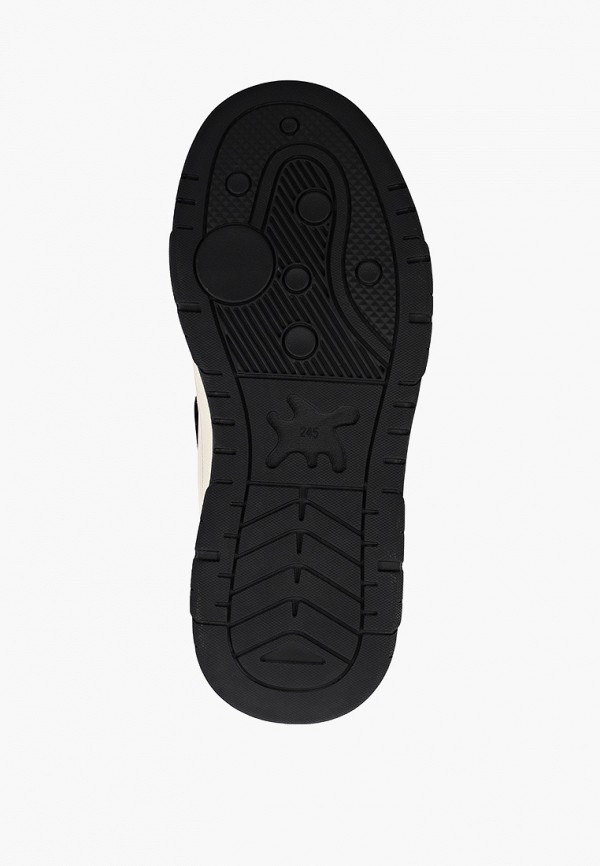 фото Кеды vitadela