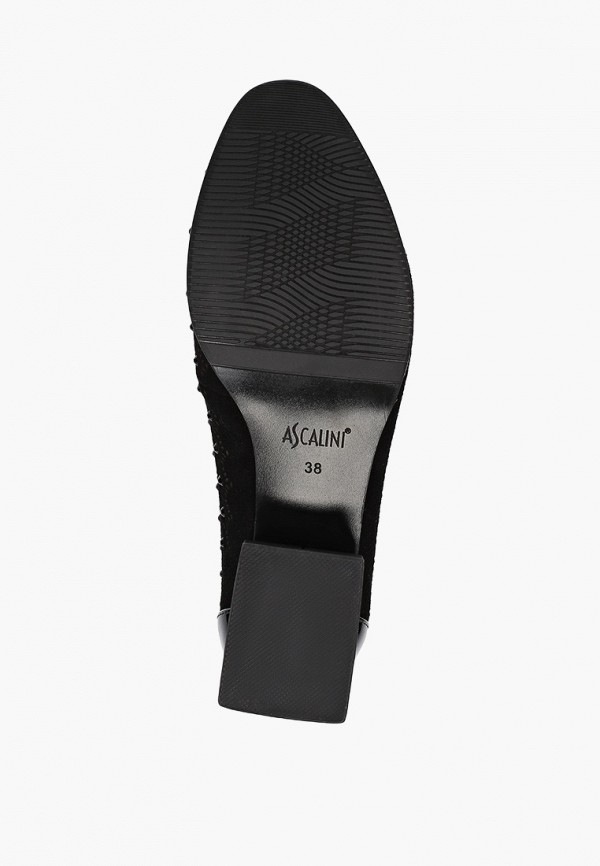 фото Туфли ascalini