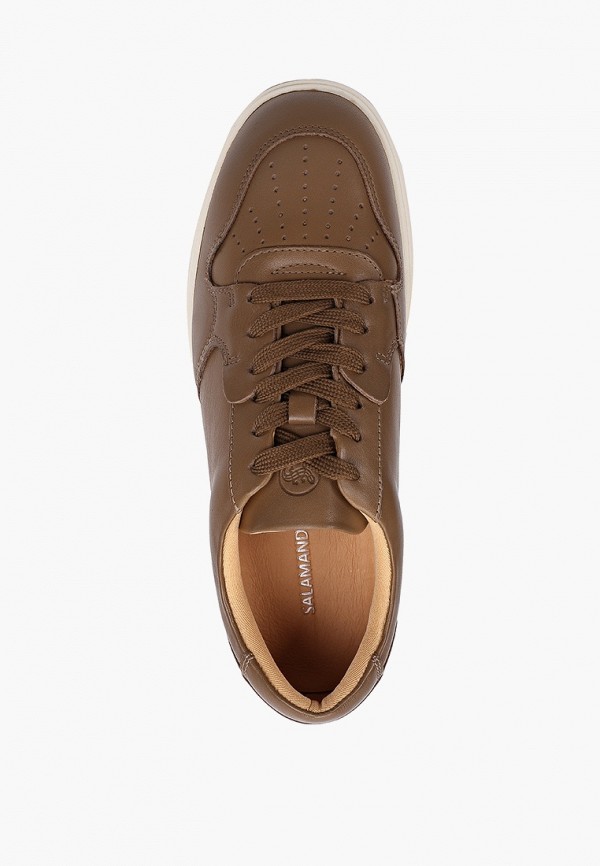 фото Кеды salamander