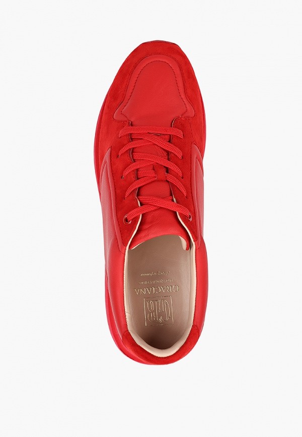 фото Кроссовки graciana