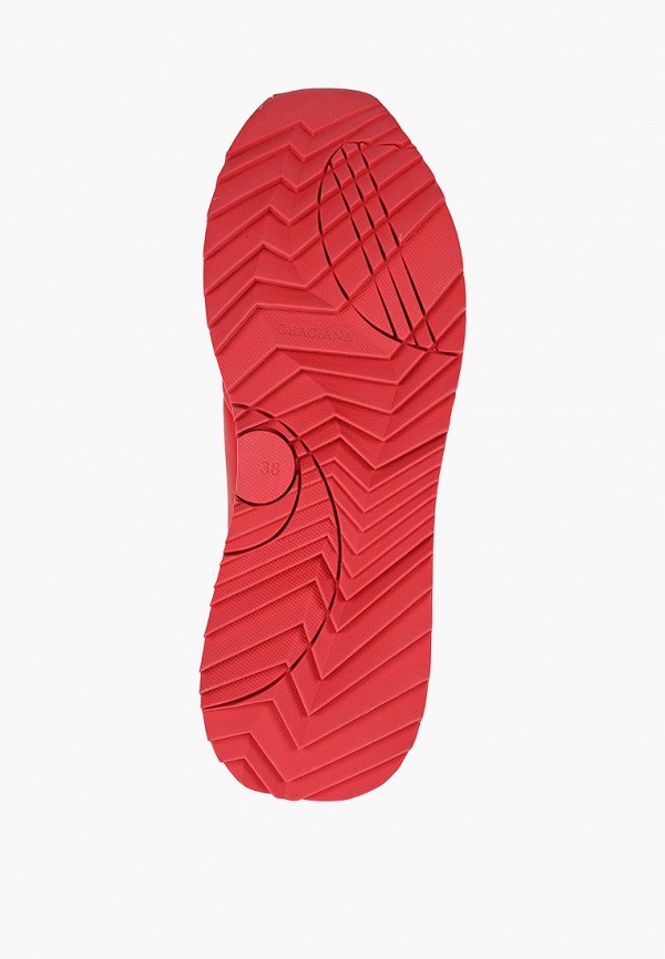 фото Кроссовки graciana