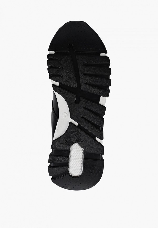 фото Кроссовки ascalini