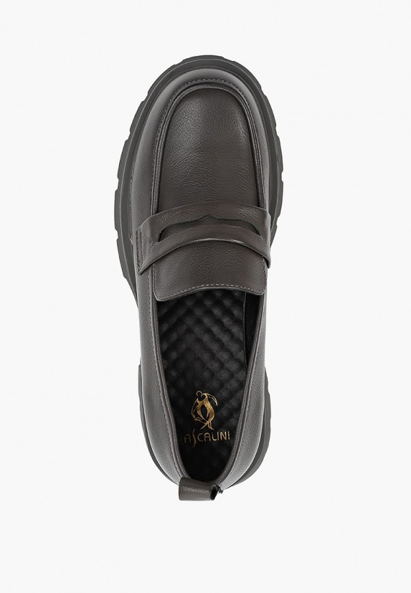 фото Туфли ascalini