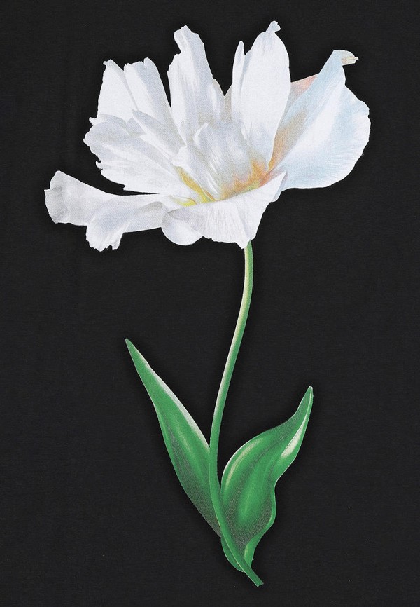 фото Лонгслив апрель