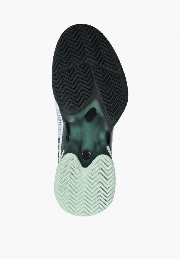 фото Кроссовки lacoste