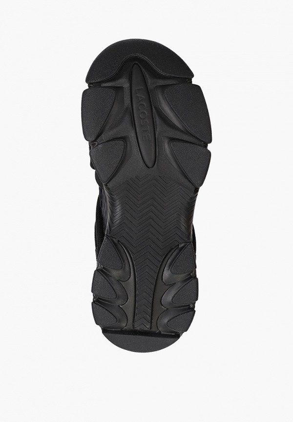 фото Кроссовки lacoste