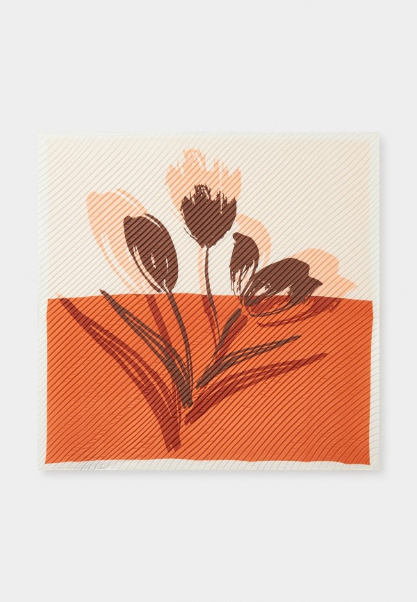 Платок Labbra 1512₽