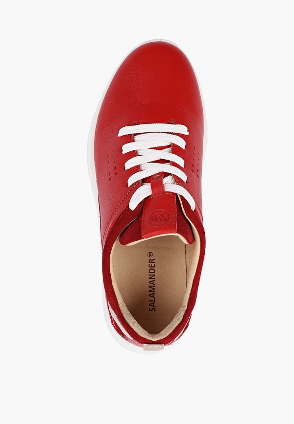 фото Кроссовки salamander