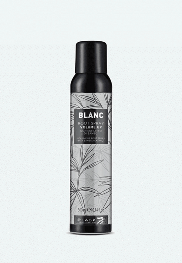 

Спрей для волос Black Professional Line, Серебряный, ОБЪЕМНЫЙ СПРЕЙ - - BLANC