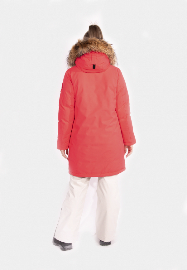 фото Парка high experience