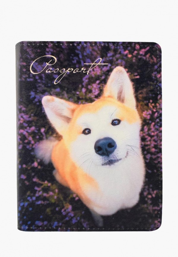 

Обложка для паспорта BB1, Разноцветный