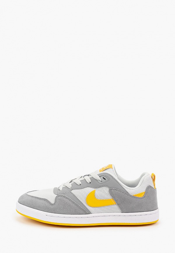

Кеды Nike, Серый, NIKE SB ALLEYOOP
