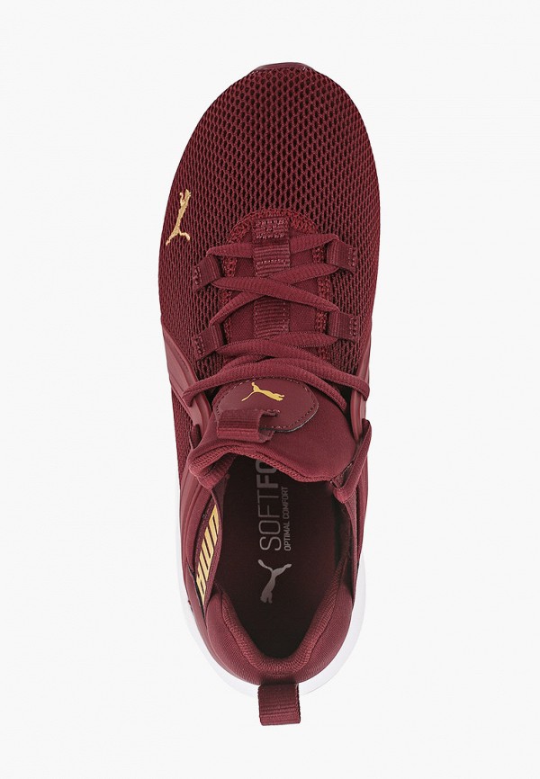 

Кроссовки PUMA, Бордовый, Enzo 2 Wn s