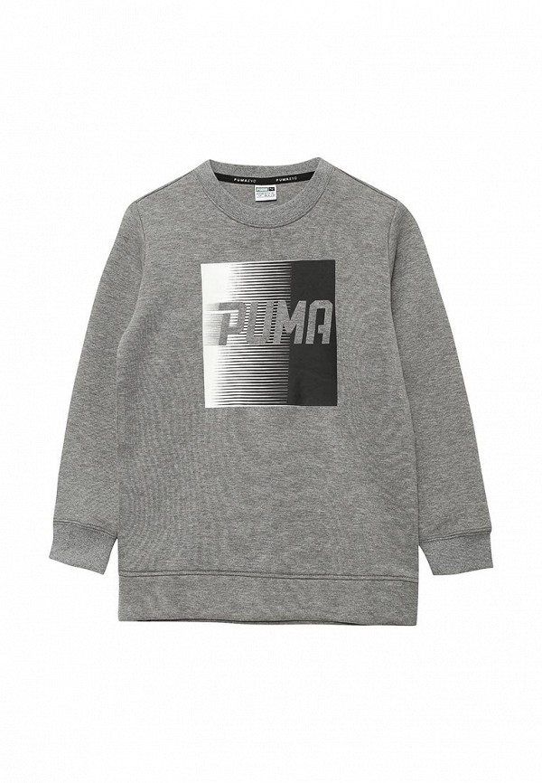 

Свитшот PUMA, PUMA PU053EBWSD47, Серый