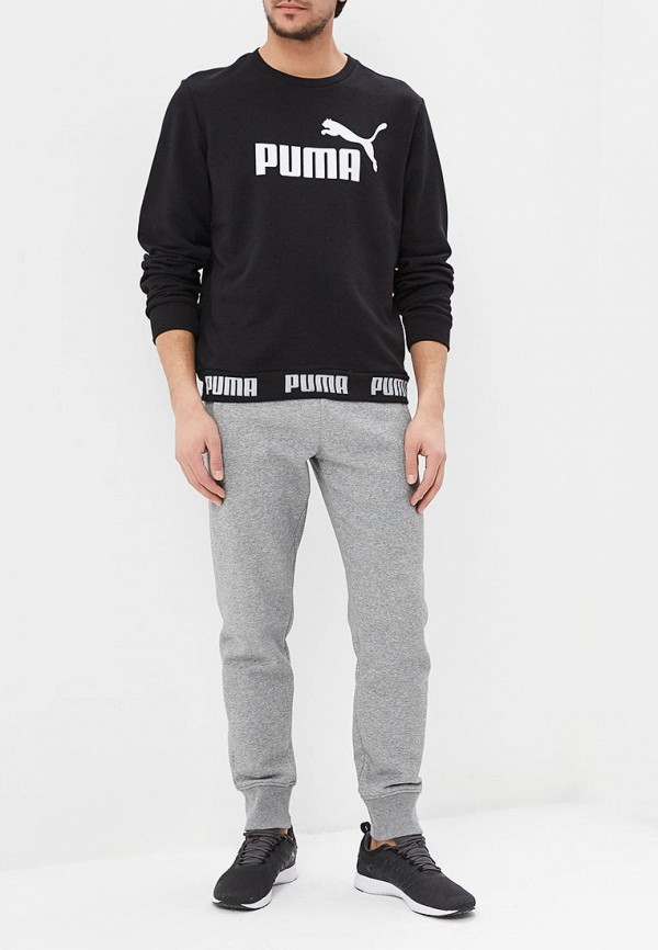 

Свитшот PUMA; PUMA PU053EMDZQU6, Черный