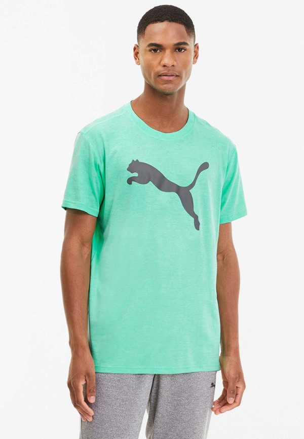 Gay puma