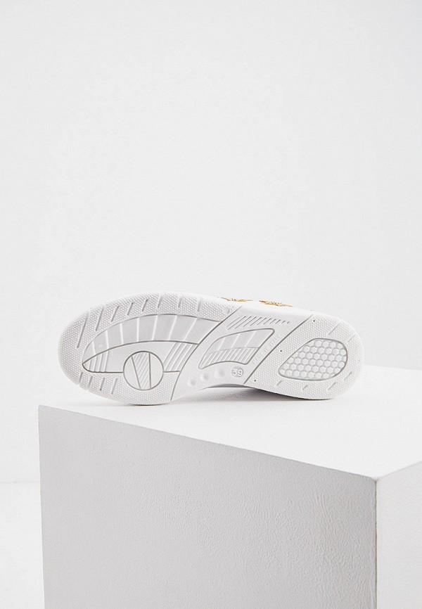 фото Кеды chiara ferragni