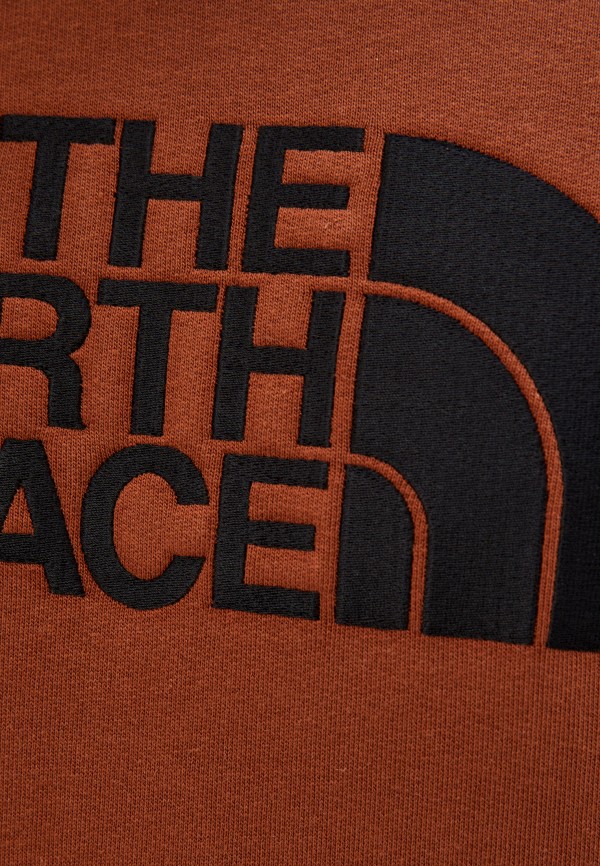 фото Худи the north face