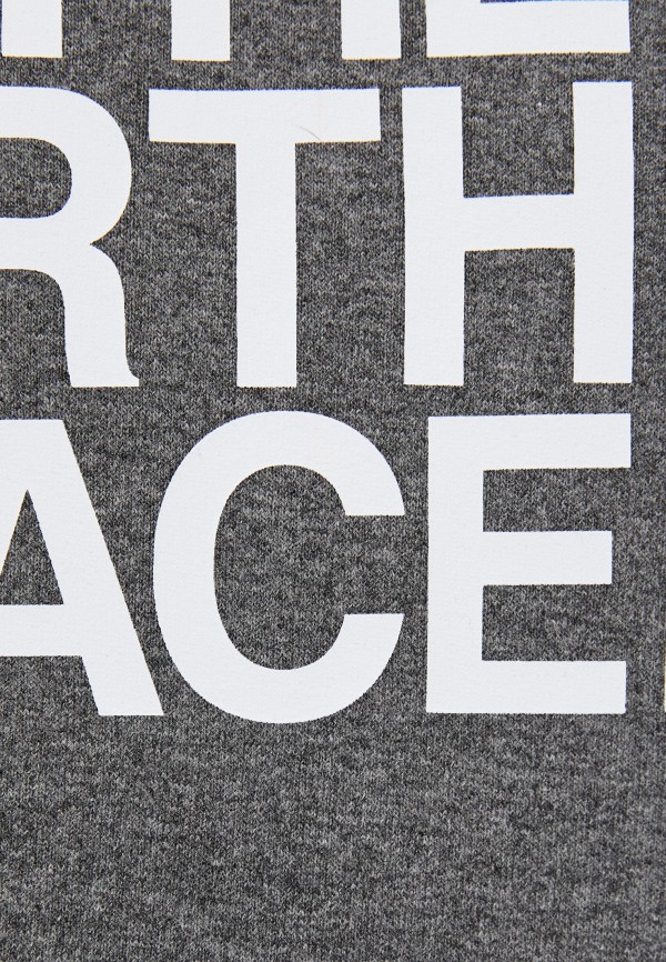 фото Худи the north face