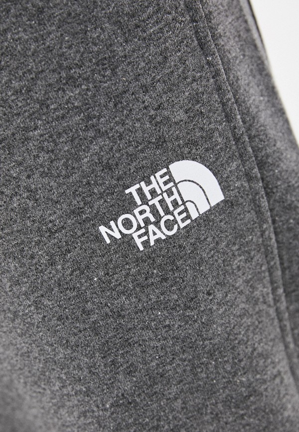 фото Брюки спортивные the north face