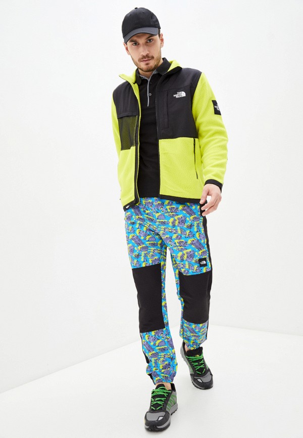 фото Брюки спортивные the north face