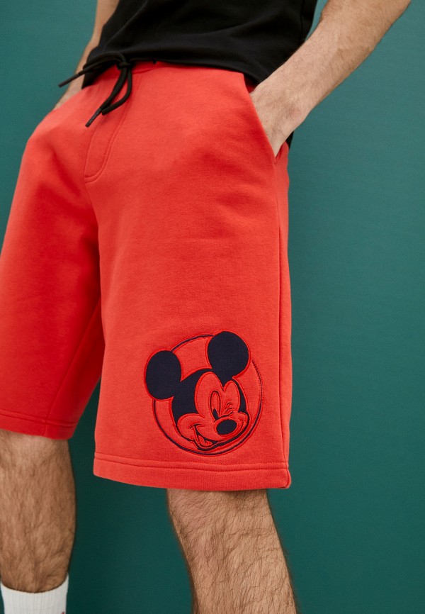 фото Шорты спортивные iceberg