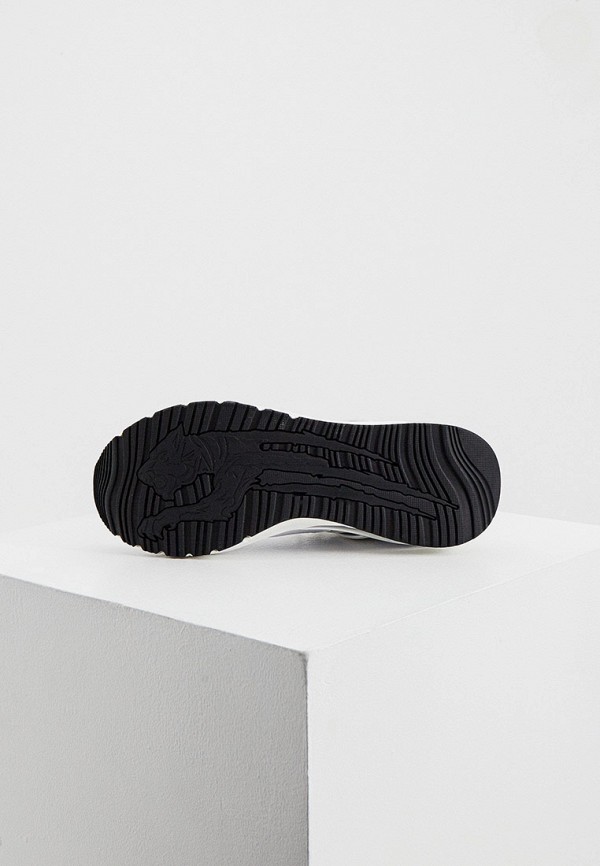 фото Кроссовки plein sport