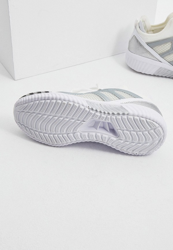 фото Кроссовки plein sport