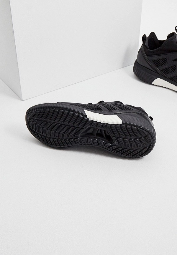 фото Кроссовки plein sport