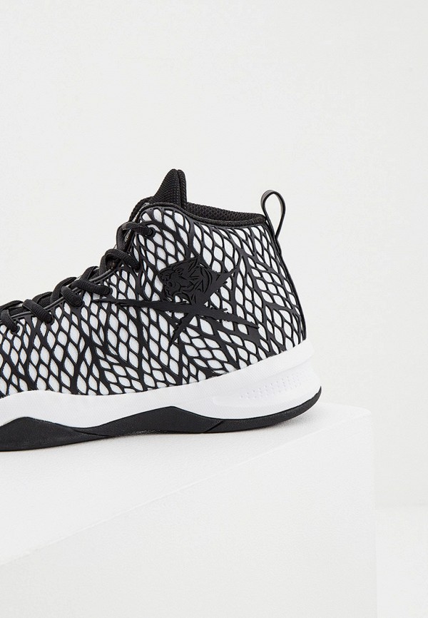 фото Кроссовки plein sport