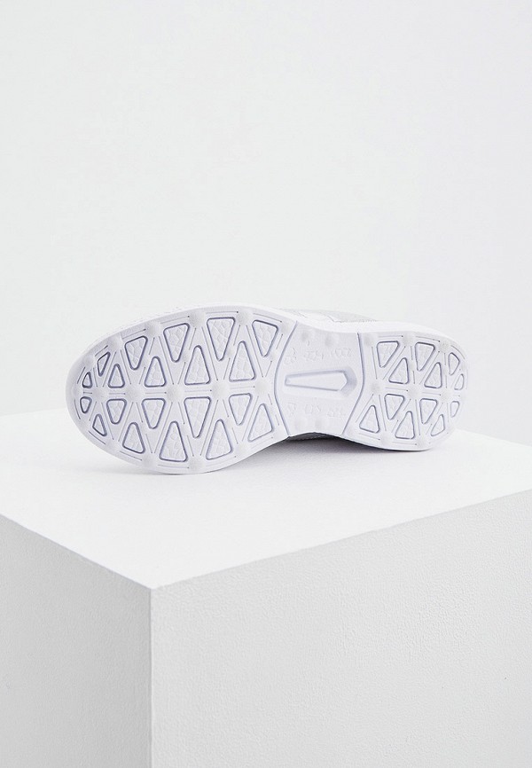 фото Кроссовки plein sport