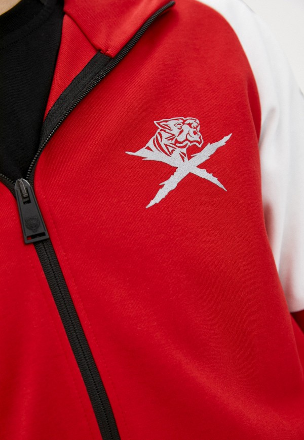 фото Толстовка plein sport