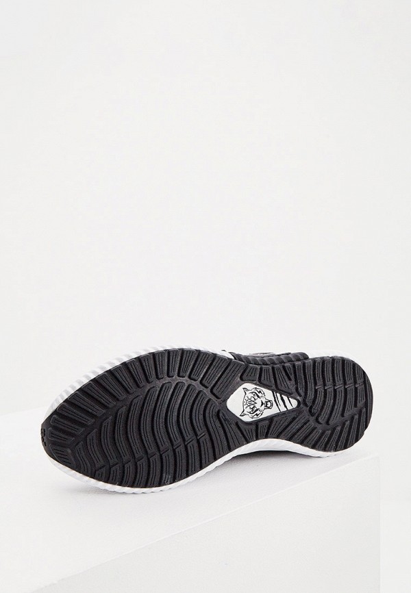 фото Кроссовки plein sport